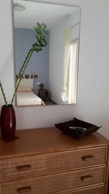 a mirror on top of a dresser with a plant on it at Il Bambu' in San Vito lo Capo