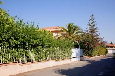 a fence with bushes and trees next to a street at Siciliaiu in Mondello