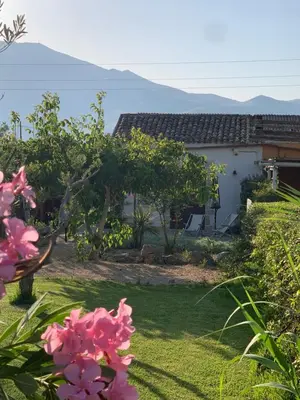 a garden with pink flowers in front of a house at Lovely Cottage in Castellammare del Golfo