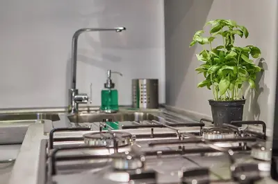 a kitchen stove with a potted plant on it at Palermo al Centro - Appartamento Vittorio in Palermo