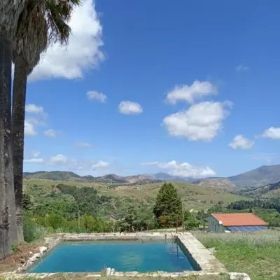 a swimming pool with a palm tree and mountains in the background at Villetta San Giovanni in Calatafimi