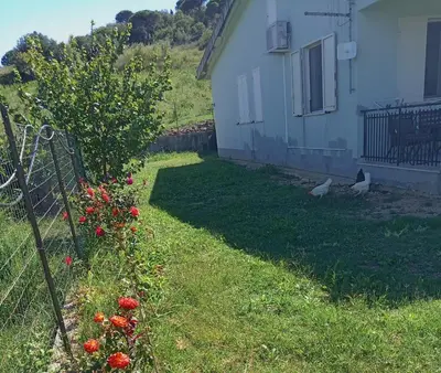two birds standing in a yard next to a house at Villetta San Giovanni in Calatafimi