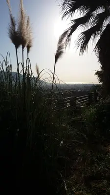 a view of the ocean from a field with tall grass at Villa Giannì in Palermo