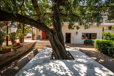 a picnic table under a tree in front of a building at Casa del carrubo in Carini