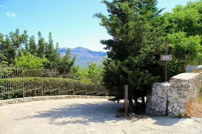 a tree next to a stone wall with a sign at Casale Maddalena in Carini