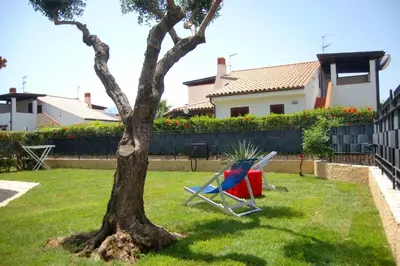two chairs sitting next to a tree in a yard at Sole Mare Deluxe in Campofelice di Roccella