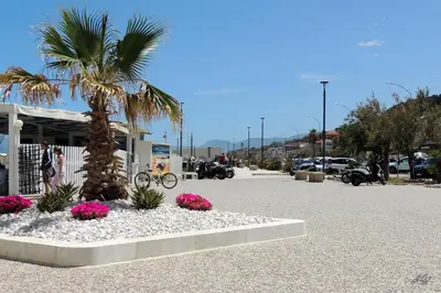 a palm tree in a parking lot with pink flowers at Tonnara Apartments in Alcamo Marina