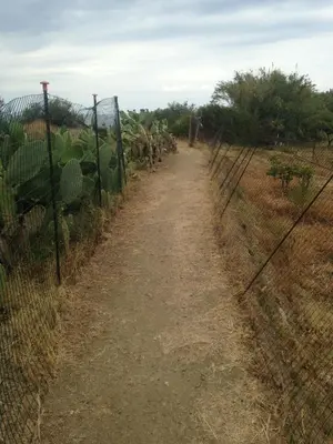 a dirt road next to a fence at Le 3 tartarughe in Lascari