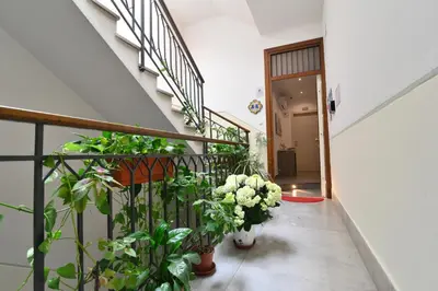a hallway with flowers and plants on a staircase at B&B Le Porte Del Centro in Palermo