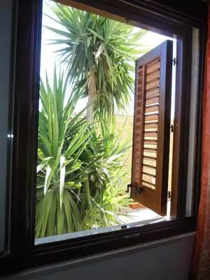a window with a view of a palm tree outside at New Eden in San Vito lo Capo