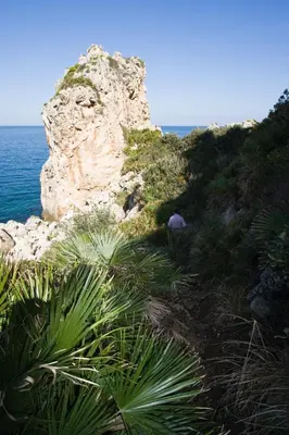 a rocky hill with plants and the ocean at Villa Firriato in San Vito lo Capo