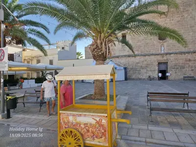 a food cart with two people standing next to a palm tree at holiday home LG in San Vito lo Capo