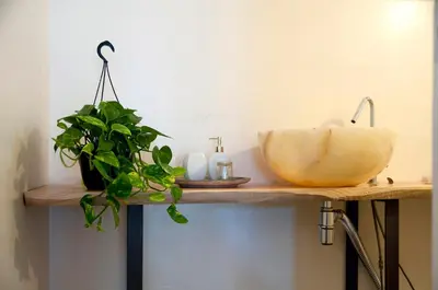 a bathroom with a sink and a plant on a shelf at Addumari in Palermo