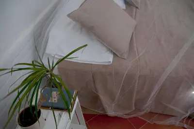 a plant sitting next to a bed with a pillow at Addumari in Palermo