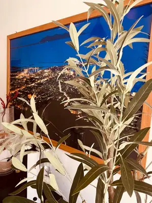 a plant in front of a picture of a city at Sicilia Vacation in San Vito lo Capo