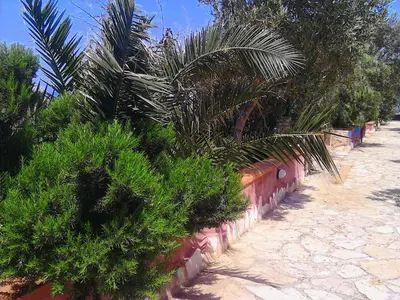 a row of trees and plants on a sidewalk at Baglio Del Sole in San Vito lo Capo
