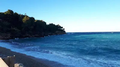 a beach with blue water and trees on the shore at Casa Vacanza Demi in Alcamo Marina