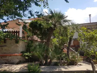 a house with a palm tree in front of it at Villa Margherita in Terrasini
