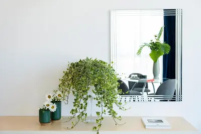 a table with two potted plants and a mirror at Enny Camere in Alcamo