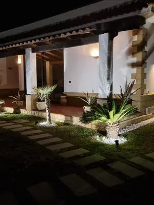 a house with palm trees in a yard at night at Villa Sunshine in Balestrate