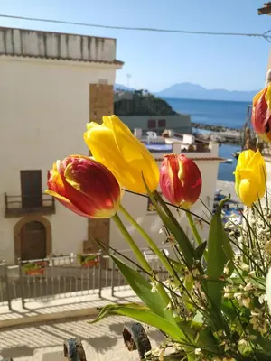 a bouquet of flowers in front of a building at Summer Dream LA CASA SUL MARE in Trappeto