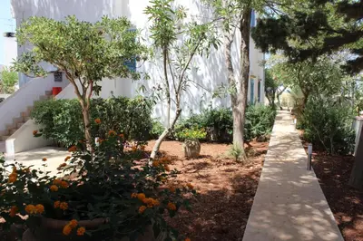 a walkway in front of a building with trees at Villa Casa Madre in San Vito lo Capo