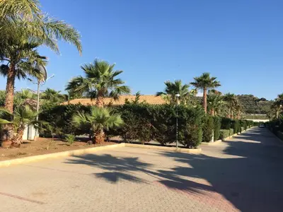 a road with palm trees and a house in the background at Residence Hydria in Campofelice di Roccella