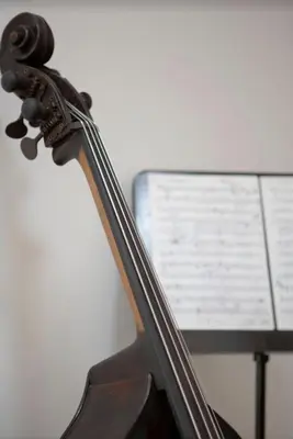a close up of a musical at Casa del Contrabbasso in Palermo