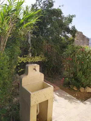 a concrete sink in a garden with plants at Antico Rustico in Scopello