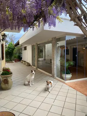 a dog and a cat sitting in front of a house at La depandance di Villa Rosa locazioni brevi in Mondello