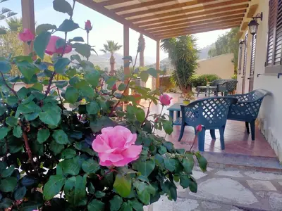 a bush with a pink rose on a patio at Hotel Grotticelli in Scopello