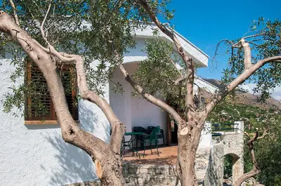 a tree in front of a white house with a table and chairs at Villa Mediterranea in Scopello