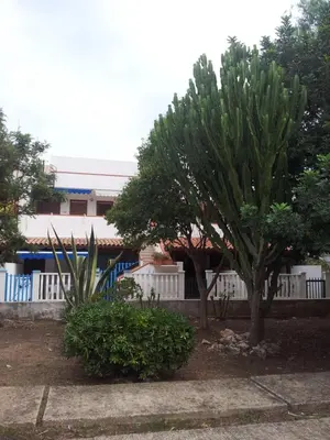 a tree and bushes in front of a building at HOME HOLIDAY PINO&FABIANA in San Vito lo Capo