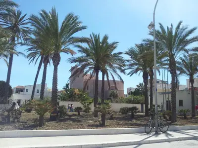 a bike parked next to palm trees in front of a building at HOME HOLIDAY PINO&FABIANA in San Vito lo Capo