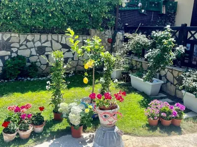 a garden with potted plants and a vase of flowers at Villa Eco-Chic in Carini