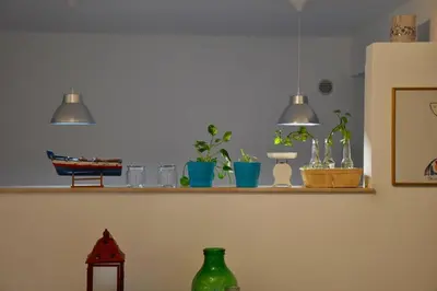 a shelf with a bunch of plants on it at Casa Frida in Palermo