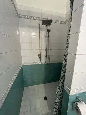 a bathroom with a shower with green and white tiles at Ai quattro canti di città, appartamento in centro in Palermo