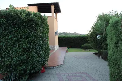 a large green bush next to a house at Villa Aga in Campofelice di Roccella