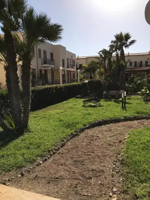 a path in a park with palm trees and buildings at sicily home casa vacanze con piscina in San Vito lo Capo