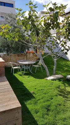a picnic table and a tree in a yard at Villa Vo' Scurá in Alcamo Marina