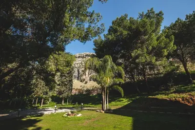 a park with a tree and a mountain in the background at LuminHouse Villa Mondello in Mondello