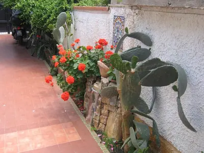 a bunch of plants and flowers next to a wall at Appartamento Vivaldi in Mondello