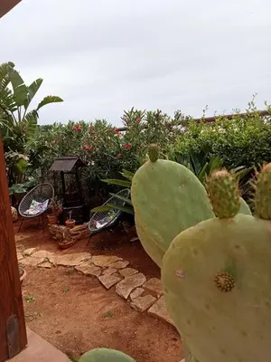 a prickly pearuanauanauanauanauanauanauanauanauanauanauanauana at VILLA TREROSE by Trerose Properties - Villa centrale con wi-fi e posto auto privato gratuiti in San Vito lo Capo