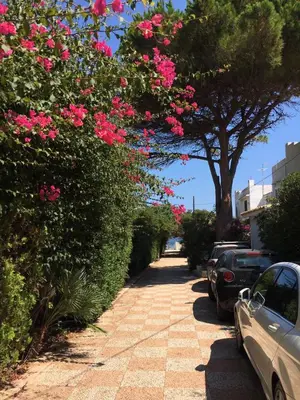 a sidewalk with pink flowers and cars parked on it at La maison sul mare in San Vito lo Capo