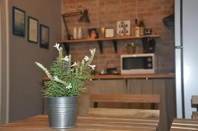 a potted plant sitting on a table in a kitchen at Jennys place in Palermo