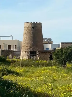 a building with a tower in a field of flowers at Il Mulino in San Vito lo Capo