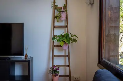 a ladder with potted plants on it next to a tv at Bouganville Home Mondello in Mondello