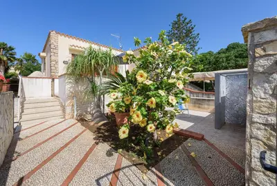 a small tree in front of a house at Casa Vacanza Azzurra 3 in San Vito lo Capo