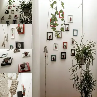 a white wall with photographs and plants on it at Appartamenti Karma vacanze in Castelluzzo