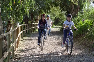 a group of people riding bikes down a trail at Agriturismo Al Poggetto in Piana degli Albanesi